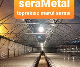 Topraksız Marul Serası
