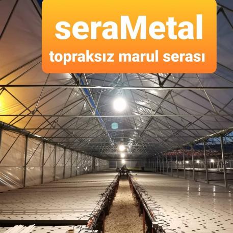 Topraksız Marul Serası