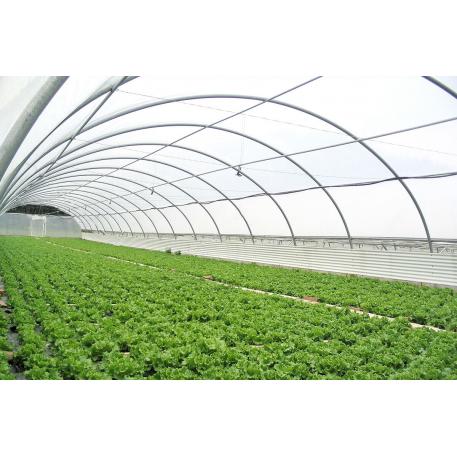Tunnel Greenhouses